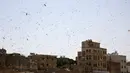 Sekawanan belalang gurun terbang di langit Sanaa, Yaman (9/10/2020). Kawanan belalang gurun menyerbu Sanaa, ibu kota Yaman, pada Jumat (9/10). (Xinhua/Mohammed Mohammed)