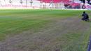 Kondisi rumput Stadion Utama Gelora Bung Karno (SUGBK) di Senayan, Jakarta, Senin (13/3/2023). Rumput lapangan SUGBK cukup memprihatinkan setelah stadion yang akan digunakan untuk Piala Dunia U-20 2023, dipakai menggelar dua konser musik. (Liputan6.com/Angga Yuniar)