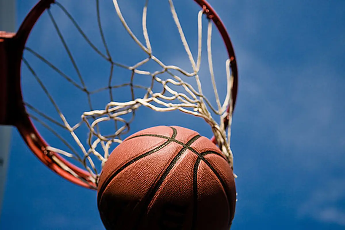 Ilustrasi Bola Basket