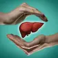 Ilustrasi organ hati manusia. (©Shutterstock)