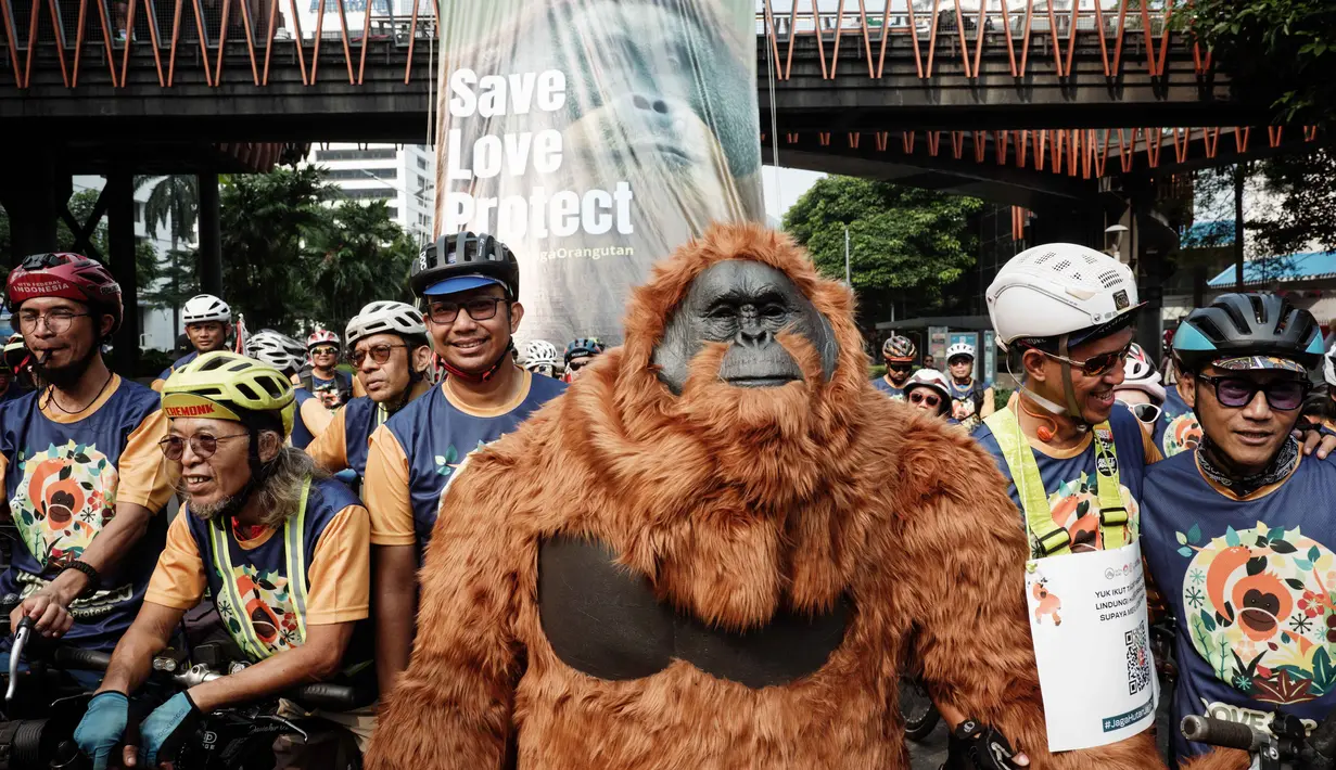 Maskot orangutan Tapanuli dan Kalimantan dihadirkan dalam kegiatan ini. Para aktivis juga membentangkan spanduk bergambar orangutan raksasa sebagai simbol seruan penyelamatan satwa langka tersebut. (YASUYOSHI CHIBA/AFP)