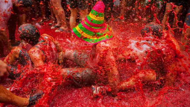 Peserta Membludak, Festival Tomat di Spanyol Kini Berbayar