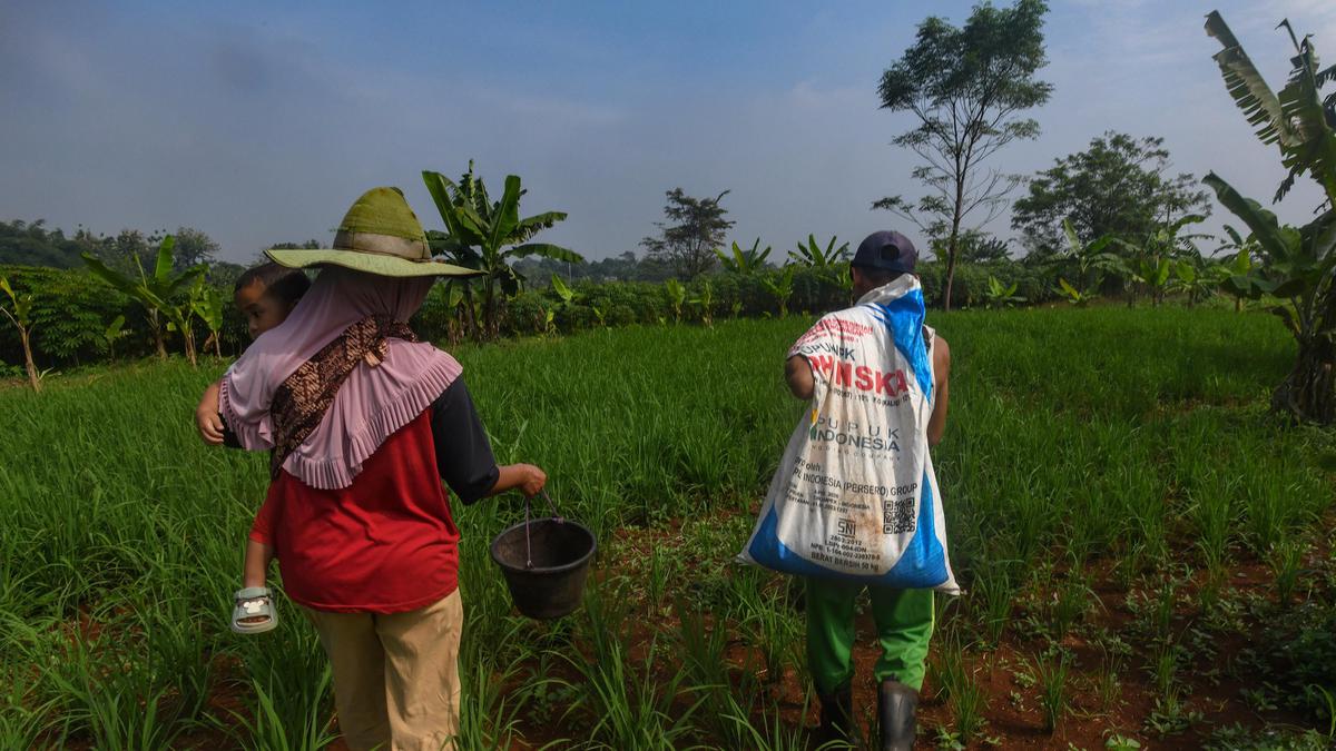 BPK Temukan Pemborosan Belanja Pupuk Subsidi Rp 2,92 Triliun, Inefisiensi Pabrik Jadi Biang Kerok