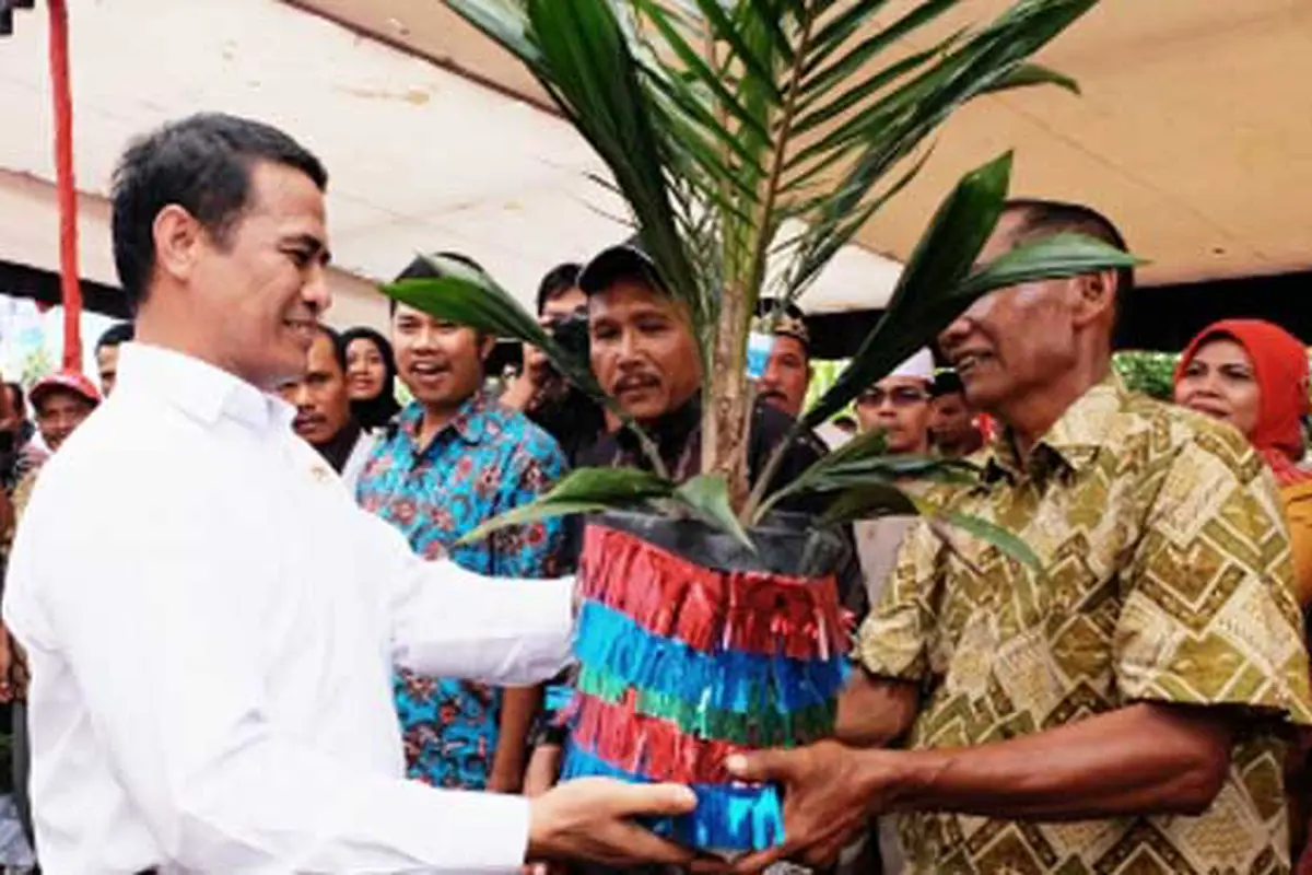 Mentan Canangkan Satu Juta Integrasi Jagung - Sawit