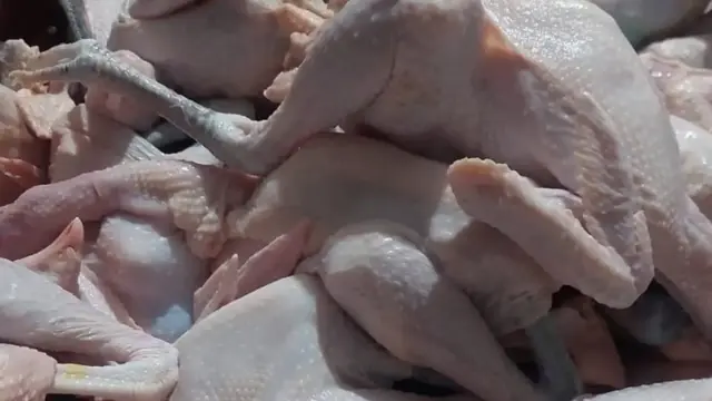 Cara Cepat Membuat Daging Ayam Kampung Tua Empuk Tanpa Panci Presto
