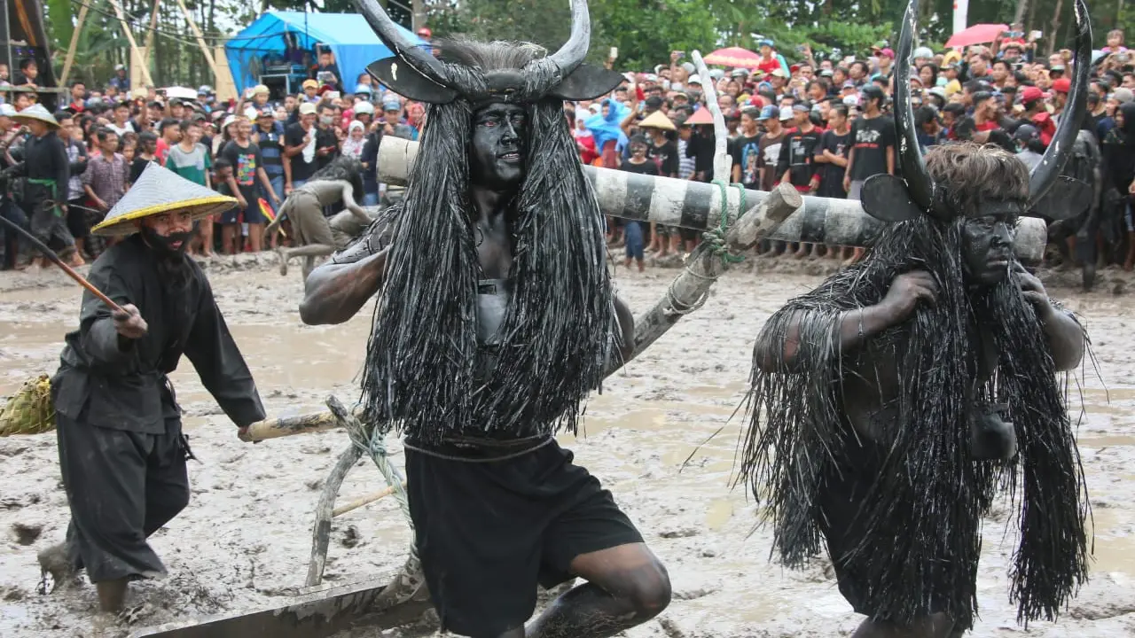 Keren, Banyuwangi Sukses Gelar 4 Atraksi Besar Dalam Sehari