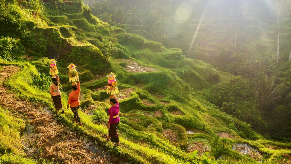 Pasar Properti Indonesia Diproyeksi Capai Rp 1.120 Triliun di 2025, Bali Banyak Dilirik