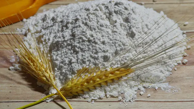 Manfaat Tepung Gandum