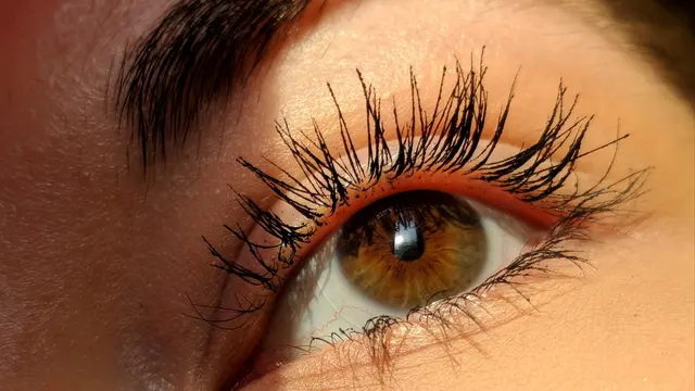 Mengenal Lash Lift, Alternatif Melentikan Bulu Mata secara Alami dan Tahan Lama