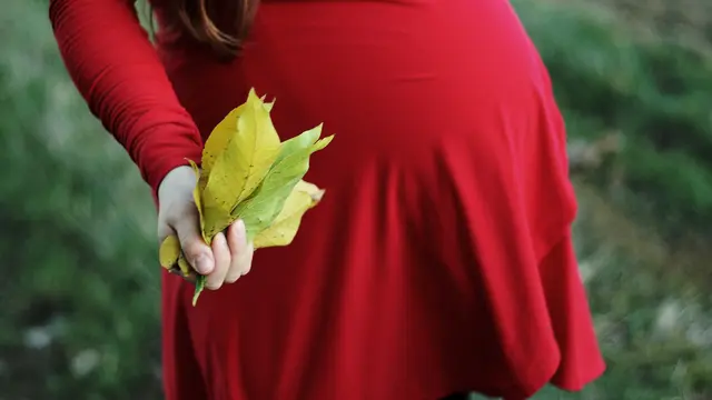 ilustrasi trimester hamil/Michaela Markovičová/pexels