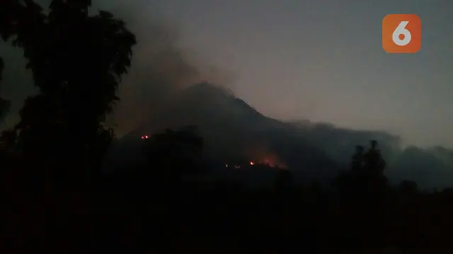 Hutan di Gunung Panderman Terbakar Bisa Bikin Kera Turun Gunung