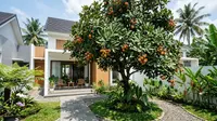 9 Pohon Buah dengan Bentuk Daun yang Menarik, Cocok untuk Taman Rumah
