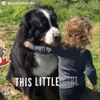 Anjing dan Anak Ini Tumbuh Besar Bersama