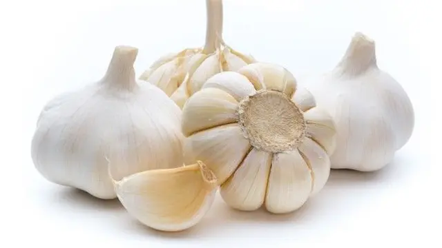 bawang Putih. (foto: Pinterest/Freepik).