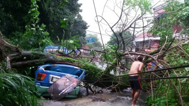 Pohon Tumbang Timpa Angkot dan Warung Bakso di Bogor