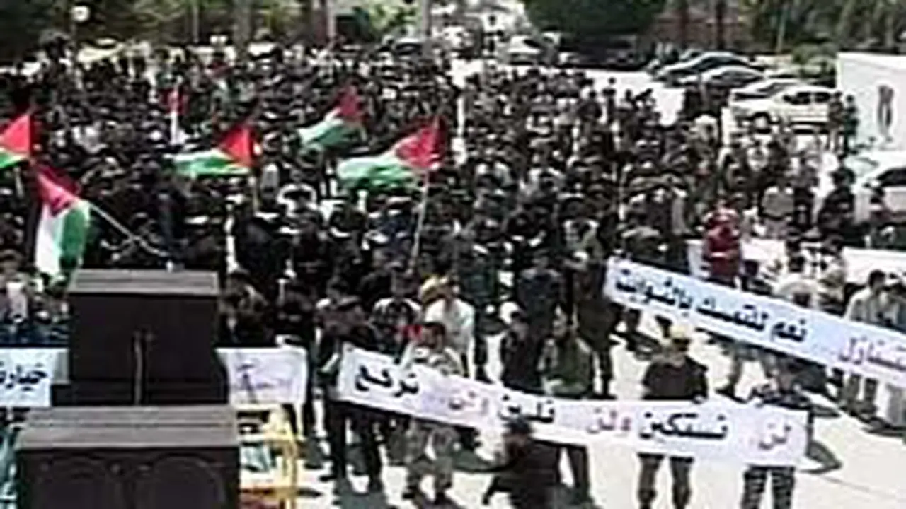 190506alnpalestina2.jpg