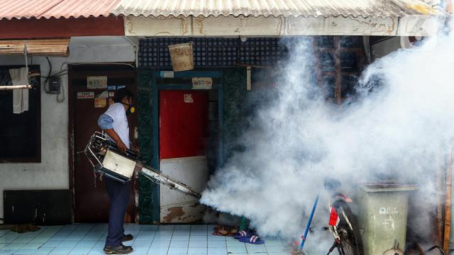 Membasmi Perkembangbiakan Nyamuk Demam Berdarah