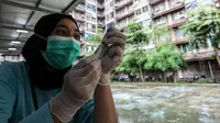Petugas menyiapkkan vaksin COVID-19 dosis ketiga (booster)  untuk warga di RPTRA Rusun Benhil, Jakarta, Rabu (6/7/2022). Selain itu, vaksin booster juga jadi syarat bagi masyarakat yang ingin melakukan perjalanan menggunakan transportasi umum. (Liputan6.com/Johan Tallo)