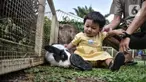 Anak-anak bermain bersama kelinci di Taman Kelinci Bambu Apus, Pusat Pelayanan Kesehatan Hewan dan Peternakan (Pusyankeswannak), Cipayung, Jakarta Timur, Kamis (30/6/2022). Dinas Ketahanan Pangan, Kelautan dan Pertanian (KPKP) DKI Jakarta membuka kembali Taman Kelinci Bampu Apus usai ditutup selama 2 tahun akibat pandemi covid-19. (Liputan6.com/Iqbal S Nugroho)