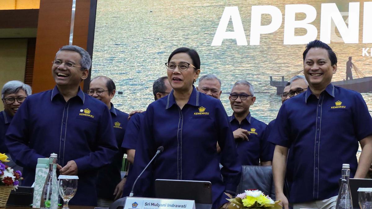 Investor Keluhkan Coretax, Sri Mulyani Minta Maaf