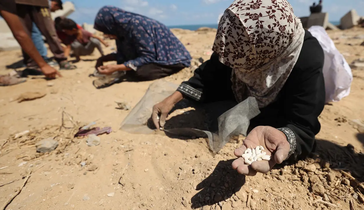 Perserikatan Bangsa-Bangsa (PBB) memperingatkan bahwa Gaza kini menghadapi bencana kelaparan dan kehancuran total. Tampak dalam foto, para perempuan Palestina mencari kacang-kacangan atau beras di pasir di Nuseirat, Jalur Gaza tengah, pada 5 Agustus 2025. (Eyad BABA/AFP)