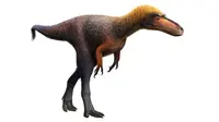 Suskityrannus hazelae, nenek moyang T-rex berukuran mungil. Sumber: Science News