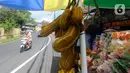 Karena langka ditemui di Indonesia dan hanya tumbuh subur di Bedugul, maka buah ini dikenal sebagai ciri khas Bedugul. (merdeka.com/Arie Basuki)