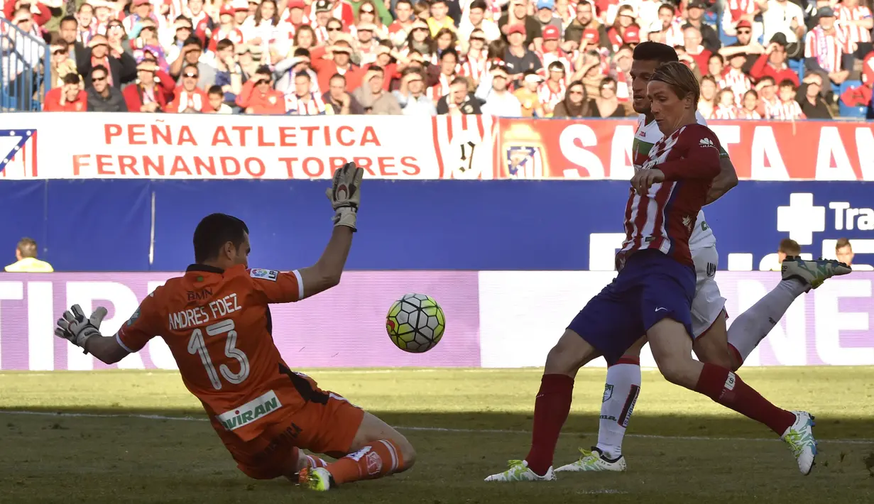  Fernando Torres saat mencetak gol kegawang Granada CF pada lanjutan La Liga Spanyol di Stadion Vicente Calderon, Madrid (17/4/2016) malam WIB. (AFP/Gerard Julien)