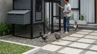 10 Desain Kandang Ayam ala Farmhouse Estetik, Halaman Jadi Rapi