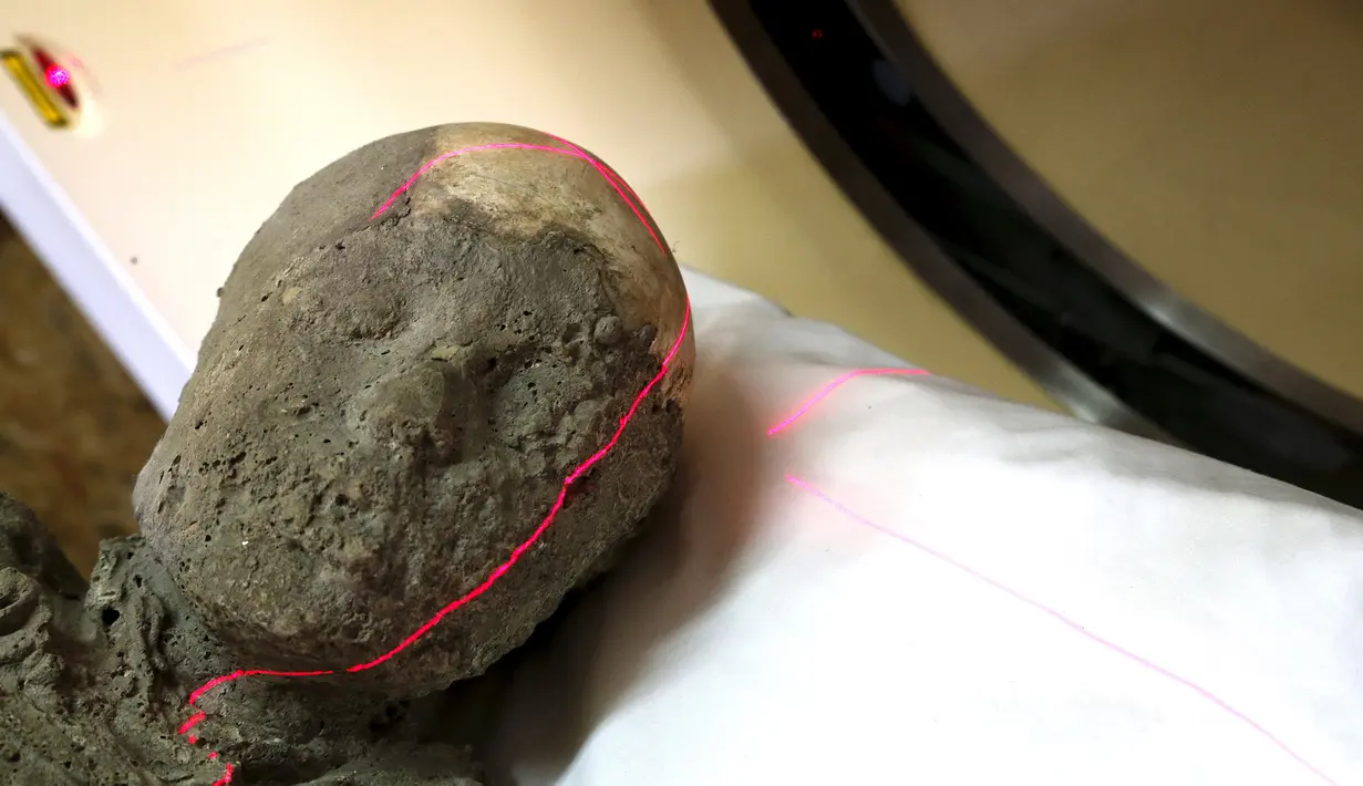 Sebuah fosil diteliti dengan alat seperti CT scan untuk mengetahui identitas fosil tersebut, Napoli, Italia, Selasa (13/10/2015). Saat ini kota Pompeii merupakan salah satu dari Situs Warisan Dunia UNESCO. (REUTERS/Alessandro Bianchi)