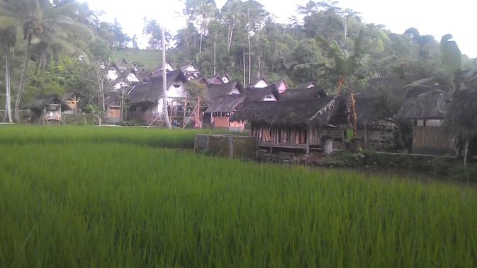Area pemukiman Kampung Naga dan lahan pesawahan nampak berdeketan (Liputan6.com/Jayadi Supriadin)