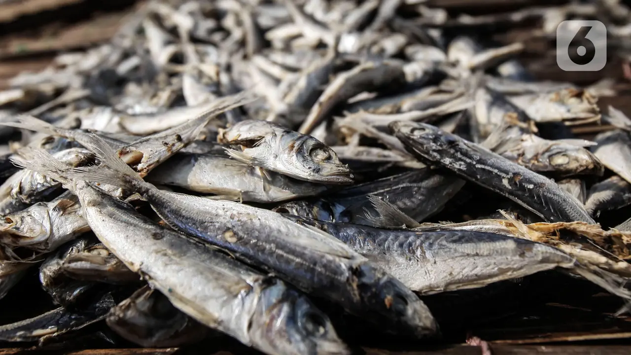 Ikan Asin