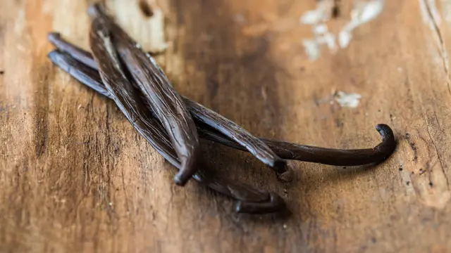 Gambar Ilustrasi Ekstrak Vanila