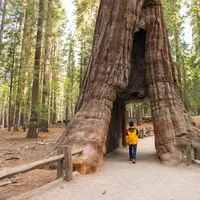 Kalifornia. (smartertravel.com)