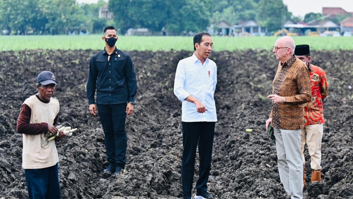 Jokowi Wants Indonesia to Stop Importing Sugar - Vimarsana News