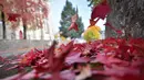 Gambar 18 Oktober 2018 memperlihatkan dedaunan jatuh ke tanah saat musim gugur di depan gereja Sainte-Bernadette, Orvault, Prancis. Musim gugur ditandai dengan perubahan warna daun serta bergugurannya daun-daun dari pohonnya. (LOIC VENANCE/AFP)