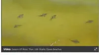 kawanan hiu di pantai di Alabama. (Sky News)