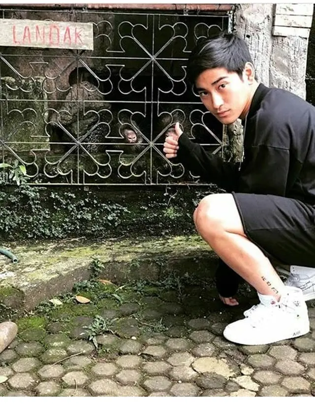 7 Tahun Berlalu, Ini Kabar Terbaru 7 Pemain Monyet Cantik 2