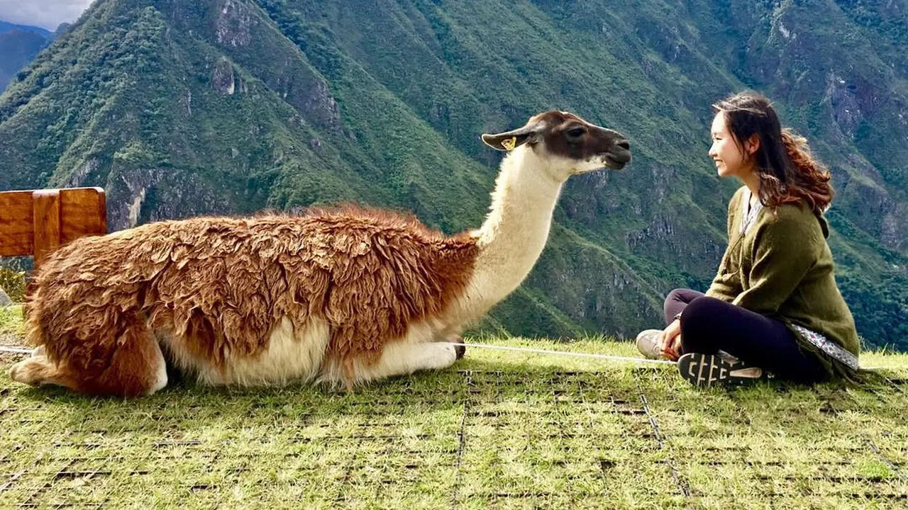 [Bintang] Peru