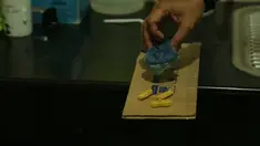 Tikus dikenal sebagai binatang yang menjijikan dan sulit untuk ditangkap. Tapi dengan perangkap ini, rumah anda akan bebas dari serangan binatang pengerat tersebut.