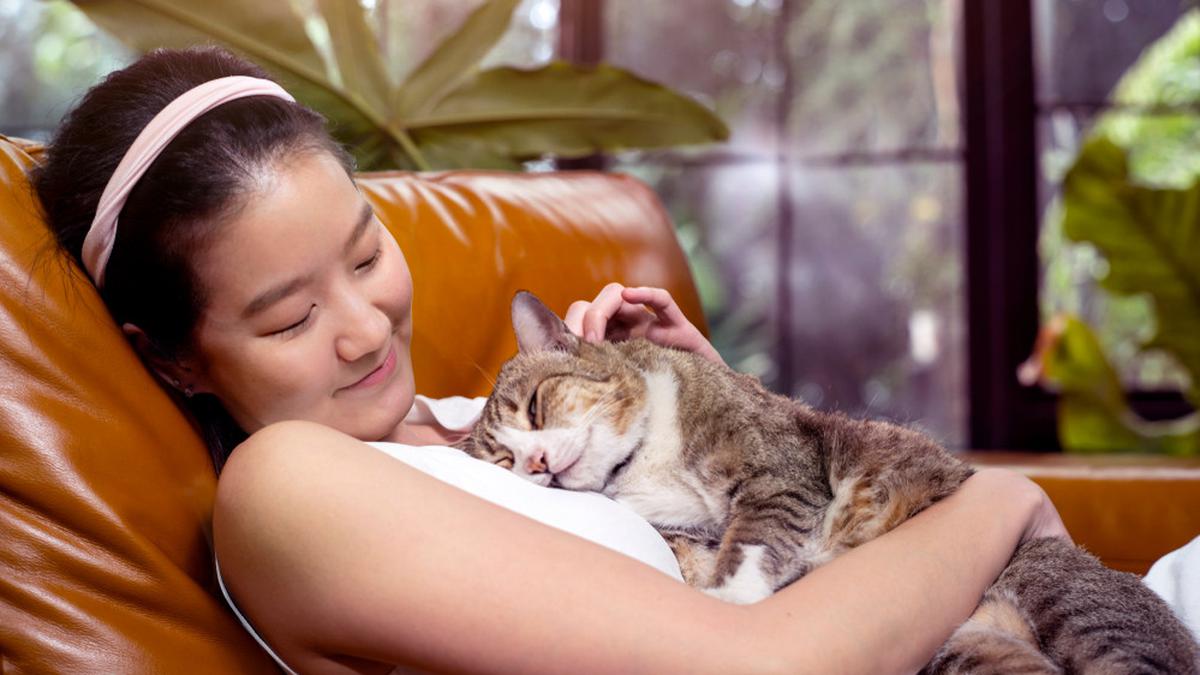 Sulit Bersosialisasi, 4 Zodiak Ini Lebih Suka Menghabiskan Waktu dengan