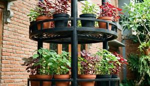 Ide Model Kebun Sayur Mini Dengan Kombinasi Vertical Tower System (Foto: AI)