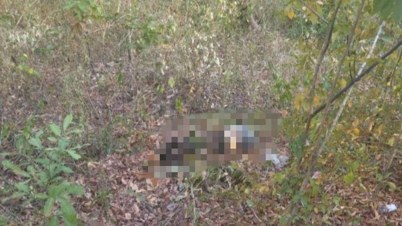 Mayat penuh luka di kepala, diduga korban pembunuhan ditemukan di hutan jati kawasan wisata Tambora Situbondo (Istimewa)