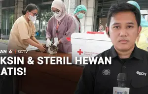 Vaksin dan Steril Hewan Gratis!