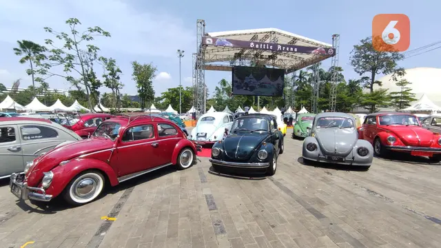 VW Kodok