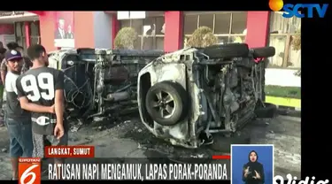 Kamis sore, anggota Polsek Hinai berhasil menangkap kembali 22 narapidana yang sempat kabur saat rusuh di lapas berlangsung.