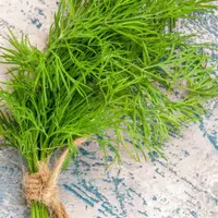 Daun Adas (Credit: Kamran Aydinov/Unsplash)