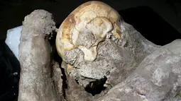 Fosil tengkorak korban Pompeii ditemukan oleh apara arkeolog, Napoli, Italia, Selasa (13/10/2015). Para ilmuwan menggunakan sebuah alat seperti CT scan untuk mengetahui bentuk utuh para korban letusan gunung Vesuvius. (REUTERS/Alessandro Bianchi)