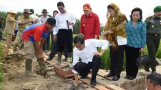 Presiden Joko Widodo meletakkan batu pertama pembangunan saluran irigasi tersier di Bendungan Irigasi Tersier Desa Mandor Kabupaten Landak, Kalbar, Selasa (20/1/2015). (Rumgapres/Agus Suparto)