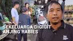 Sebanyak tujuh warga yang merupakan satu keluarga di Kabupaten Bangli, Bali, digigit anjing yang ternyata positif terjangkit rabies. Seluruh korban saat ini masih dirawat di puskesmas.